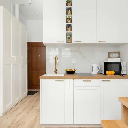 Apartment Wierzbiecice For 4 Guests Near The Center Of By Renters Posen